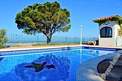 Holiday Pool